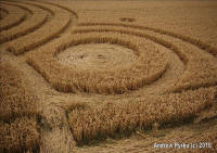 Woolaston Grange, Gloucestershire crop circle, aerial photo 76