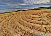 Woolaston Grange, Gloucestershire crop circle, aerial photo 79
