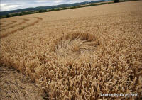 Woolaston Grange, Gloucestershire crop circle, aerial photo 81