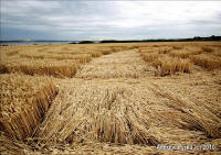 Woolaston Grange, Gloucestershire crop circle, aerial photo 80