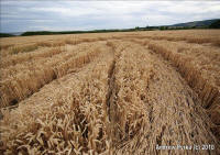 Woolaston Grange, Gloucestershire crop circle, aerial photo 78