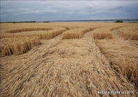 Woolaston Grange, Gloucestershire crop circle, aerial photo 75