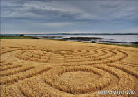 Woolaston Grange, Gloucestershire crop circle, aerial photo 69