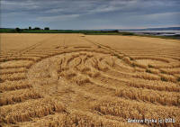 Woolaston Grange, Gloucestershire crop circle, aerial photo 67