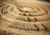 Woolaston Grange, Gloucestershire crop circle, aerial photo 68