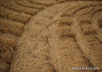 Woolaston Grange, Gloucestershire crop circle, aerial photo 70
