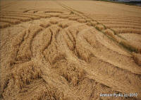 Woolaston Grange, Gloucestershire crop circle, aerial photo 74