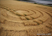 Woolaston Grange, Gloucestershire crop circle, aerial photo 73