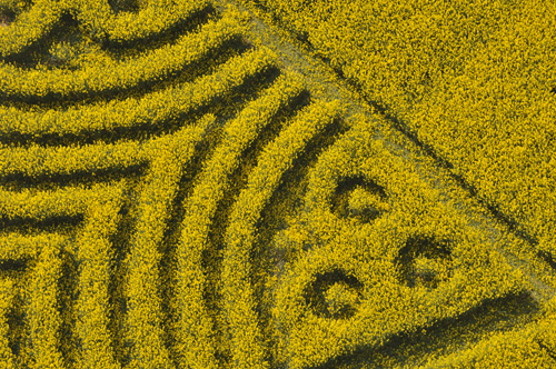 Yarnbury Castle, Wiltshire crop circle, aerial photo 30