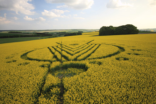 Yarnbury Castle, Wiltshire crop circle, aerial photo 33