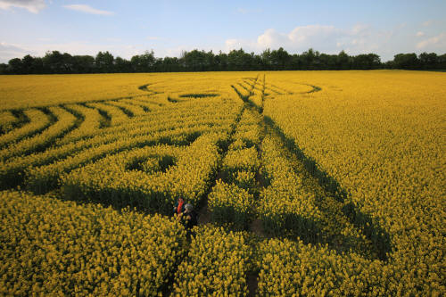 Yarnbury Castle, Wiltshire crop circle, aerial photo 31
