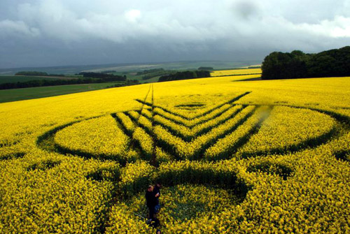 Yarnbury Castle, Wiltshire crop circle, aerial photo 27
