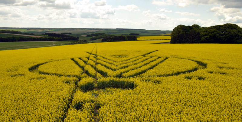 Yarnbury Castle, Wiltshire crop circle, aerial photo 21