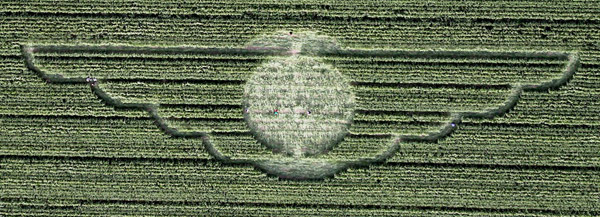 Avebury Avenue, Wiltshire crop circle, aerial photo 2