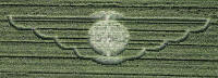 Avebury Avenue, Wiltshire crop circle, aerial photo 19