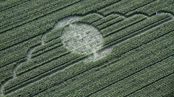 Avebury Avenue, Wiltshire crop circle, aerial photo 3