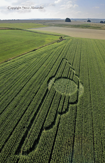 Avebury Avenue, Wiltshire crop circle, aerial photo 9