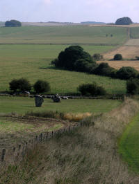 Avebury Avenue, Wiltshire crop circle, aerial photo 43
