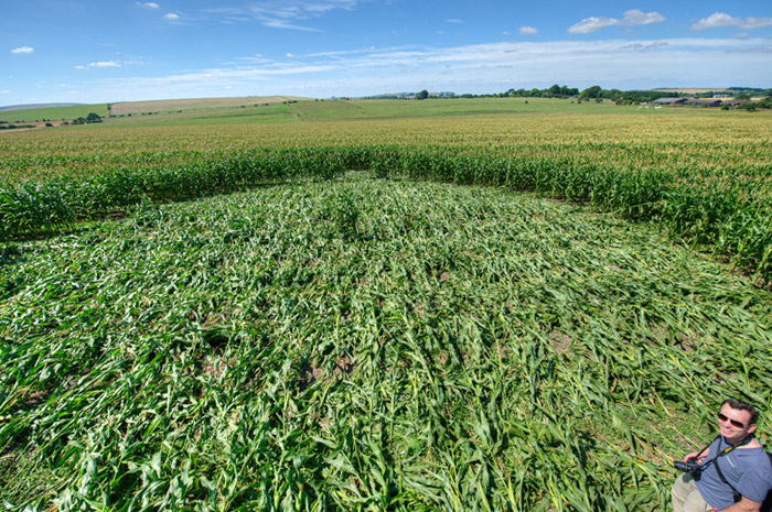 Avebury Avenue, Wiltshire crop circle, aerial photo 44