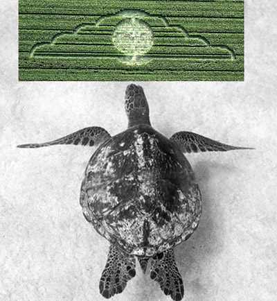 Avebury Avenue, Wiltshire crop circle, aerial photo 18