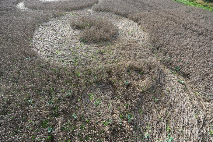 Baltic Farm, Wiltshire crop circle, aerial photo 25