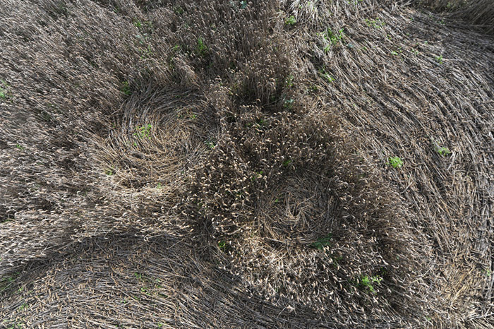 Baltic Farm, Wiltshire crop circle, aerial photo 26