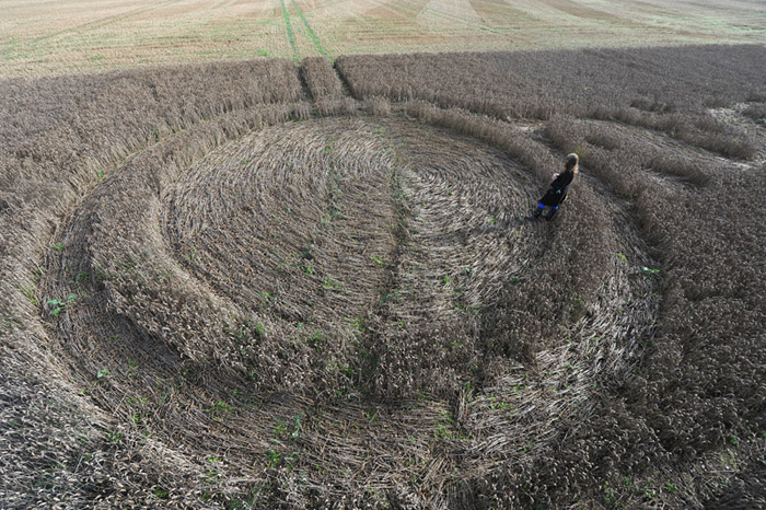 Baltic Farm, Wiltshire crop circle, aerial photo 24