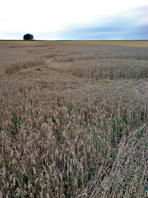Baltic Farm, Wiltshire crop circle, aerial photo 22