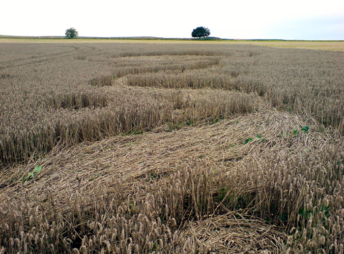 Baltic Farm, Wiltshire crop circle, aerial photo 20