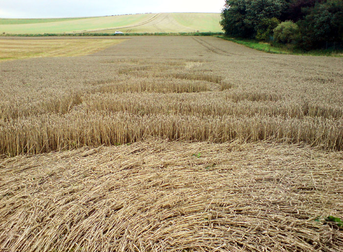 Baltic Farm, Wiltshire crop circle, aerial photo 21