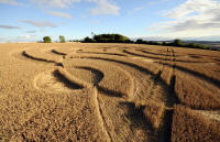 Beggar's Knoll, Wiltshire crop circle, aerial photo 65