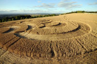 Beggar's Knoll, Wiltshire crop circle, aerial photo 59