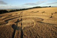 Beggar's Knoll, Wiltshire crop circle, aerial photo 63