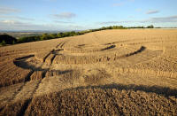 Beggar's Knoll, Wiltshire crop circle, aerial photo 67