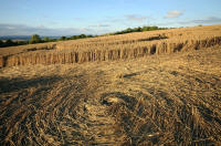 Beggar's Knoll, Wiltshire crop circle, aerial photo 71