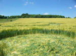 Chirton Bottom, Wiltshire crop circle, aerial photo 100