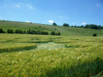 Chirton Bottom, Wiltshire crop circle, aerial photo 95