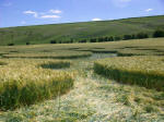 Chirton Bottom, Wiltshire crop circle, aerial photo 98