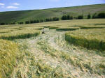 Chirton Bottom, Wiltshire crop circle, aerial photo 97