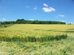 Chirton Bottom, Wiltshire crop circle, aerial photo 96