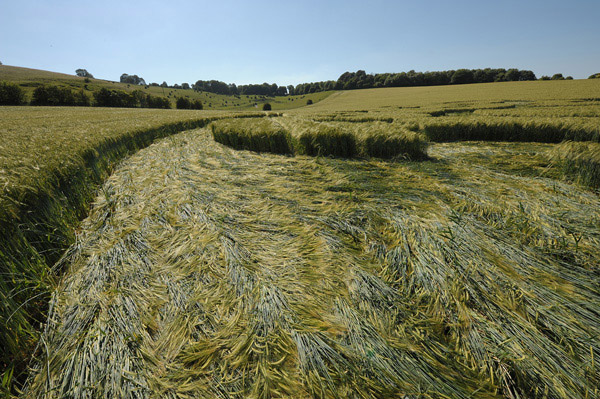 Chirton Bottom, Wiltshire crop circle, aerial photo 64