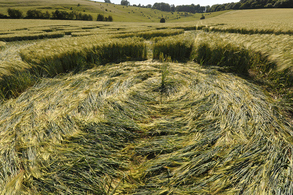 Chirton Bottom, Wiltshire crop circle, aerial photo 63