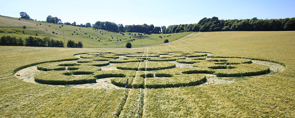 Chirton Bottom, Wiltshire crop circle, aerial photo 61