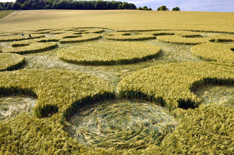 Chirton Bottom, Wiltshire crop circle, aerial photo 57