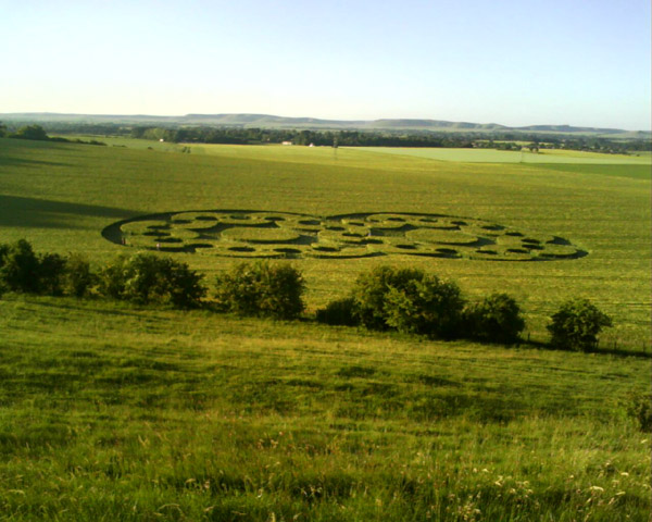 Chirton Bottom, Wiltshire crop circle, aerial photo 60