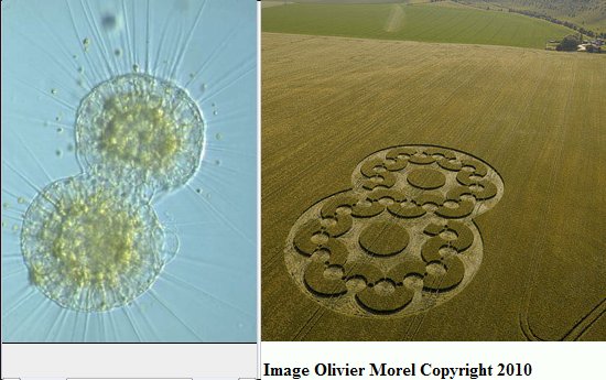 Chirton Bottom, Wiltshire crop circle, aerial photo 40