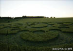 Chirton Bottom, Wiltshire crop circle, aerial photo 88