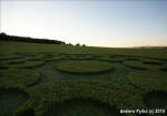 Chirton Bottom, Wiltshire crop circle, aerial photo 91