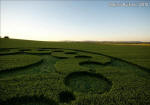 Chirton Bottom, Wiltshire crop circle, aerial photo 87