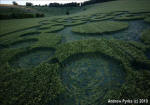 Chirton Bottom, Wiltshire crop circle, aerial photo 90
